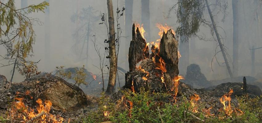 Насловна заштита од пожари