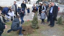 Засадени дрвца од децата на ревизорите 2
