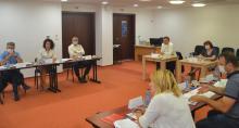 The first online technical meeting