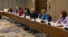 ДЗР учествуваше со повеќе свои претставници